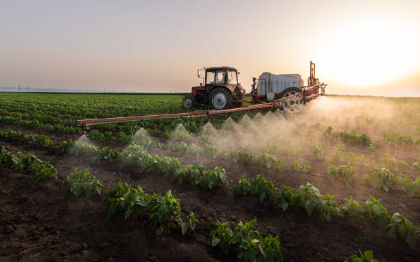 Best Pest Inspection Near Me  in Piggott, AR