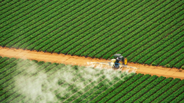 Pest Control for Restaurants in Piggott, AR