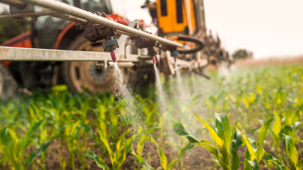 Best Pest Prevention Services  in Piggott, AR